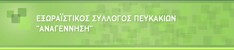 χωρίς τίτλο