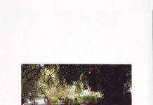 «Παραμύθια κάτω από τη βελανιδιά με τον παππού και τη γιαγιά»