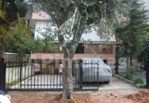 Ο “κακοποιός” και η αποκατάσταση της αλήθειας για την κοπή του δέντρου.