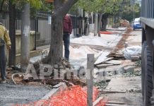 ΕΚΤΑΚΤΗ ΕΙΔΗΣΗ: Κόβουν δέντρα στην οδό Κυκλάδων!
