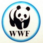 wwf