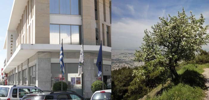 dimarxio-imittos-702x336