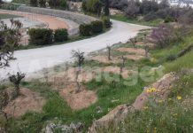 Τεράστιο πρόβλημα στο πράσινο του λόφου Τσακού – Τι κάνει ο Δήμος;