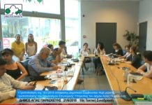 Η τροποποίηση του Οργανισμού οδήγησε στην απώλεια εμπιστοσύνης προς τη δημοτική Αρχή (VD)