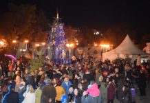 Φωταγωγήθηκε απόψε το χριστουγεννιάτικο δέντρο στην πλατεία Αγίας Παρασκευής εν μέσω χορών και μουσικής (VD)