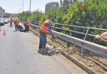 Περιφέρεια Αττικής: Μ. Εβδομάδα θα πραγματοποιηθούν εργασίες καθαρισμού και βελτίωσης πρασίνου σε νησίδες