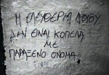 Η Δημοκρατία και η Ελευθερία του Λόγου δεν μπαίνουν σε καλούπια ούτε μέσα στο Δ.Σ. (VD)