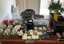 Δύο άτομα συνελήφθησαν στην Αγία Παρασκευή για κατοχή όπλων, πυροτεχνημάτων & καλλιέργεια κάνναβης