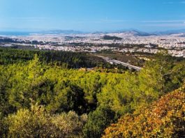 Η 8 Προτάσεις της Επιτροπή Φορέων και Κατοίκων για τον Υμηττό