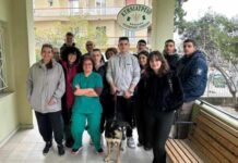 Φιλοζωική προσφορά από το 1ο ΕΠΑΛ Αγίας Παρασκευής