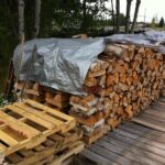 Δωρεάν Διανομή Καυσόξυλων από τον Δήμο Αγίας Παρασκευής σε συνεργασία με το Δασαρχείο Πεντέλης 12/11