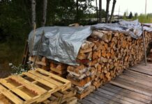 Δωρεάν Διανομή Καυσόξυλων από τον Δήμο Αγίας Παρασκευής σε συνεργασία με το Δασαρχείο Πεντέλης 12/11