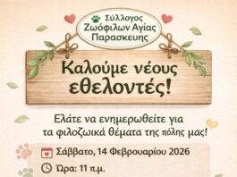 Σύλλογος Ζωοφίλων Αγίας Παρασκευής, Θέλεις να βοηθήσεις τα ζώα της πόλης μας; Γίνε εθελοντής!