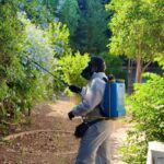 Από τον 2/26 υλοποιείται ολοκληρωμένο Πρόγραμμα Διαχείρισης Κουνουπιών από τον Δήμο Αγίας Παρασκευής