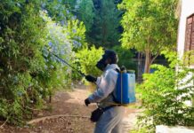 Από τον 2/26 υλοποιείται ολοκληρωμένο Πρόγραμμα Διαχείρισης Κουνουπιών από τον Δήμο Αγίας Παρασκευής