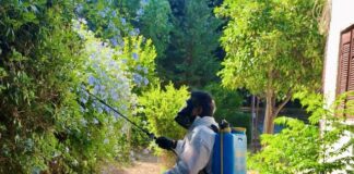 Από τον 2/26 υλοποιείται ολοκληρωμένο Πρόγραμμα Διαχείρισης Κουνουπιών από τον Δήμο Αγίας Παρασκευής