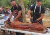 Με τεράστια συμμετοχή του κόσμου έγινε μετά από χρόνια η γιορτή της «Γουρουνοπούλας» στην Πλατεία Μερκούρη