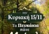 Φθινοπωρινή εξόρμηση του Συλλόγου των Πευκακίων «Η ΑΝΑΓΕΝΝΗΣΗ» στο Μαίναλο