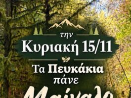 Φθινοπωρινή εξόρμηση του Συλλόγου των Πευκακίων «Η ΑΝΑΓΕΝΝΗΣΗ» στο Μαίναλο